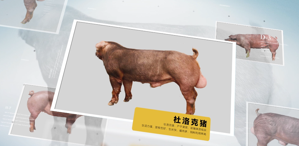 圖片2.png undefined